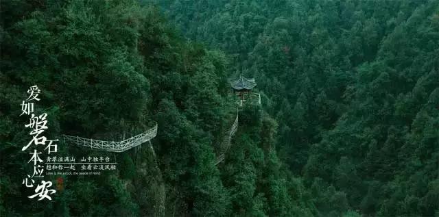帝王蟹背后的真相:巴伦支海泛滥,价格高企的原因究竟是什么?