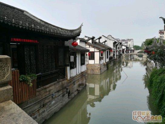 救援蓝色小兔